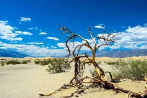 Scopri di più sull'articolo Death Valley: perché fa così caldo?